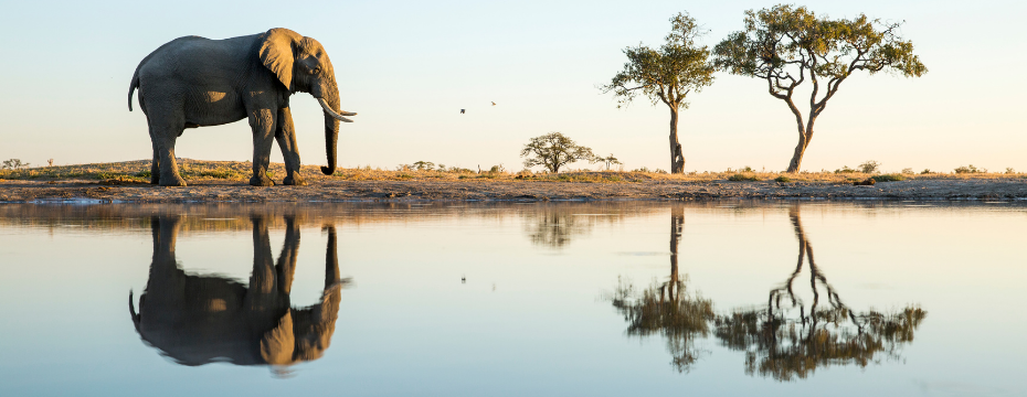 Africa