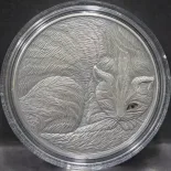 2016 NIUE $5 Animal Series “The Cat” High Relief 2oz Hand Made Antique Silver Coin with Special Printed Real Eye Effect